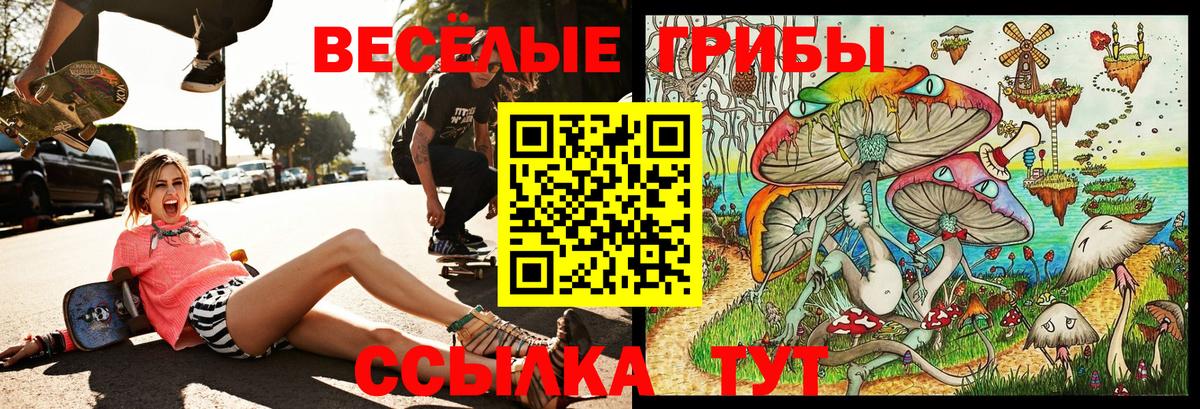 Псилоцибиновые грибы мицелий Нижневартовск